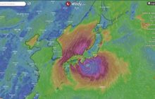 พายุฮากิบิสทำให้ฝนตกหนักที่โตเกียว