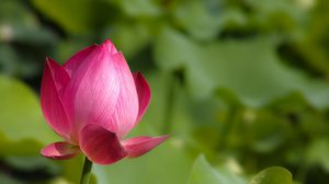 ปฏิทินวันพระ 2563 เดือนเมษายน