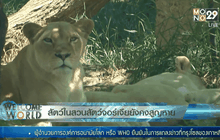 สัตว์ในสวนสัตว์จอร์เจียยังคงสูญหาย