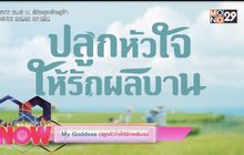 My Goddess ปลูกหัวใจให้รักผลิบาน