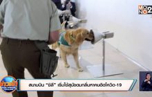 สนามบิน “ชิลี” เริ่มใช้สุนัขดมกลิ่นหาคนติดโควิด-19
