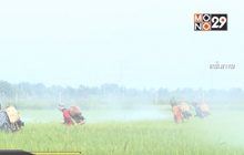 นายกฯโยนหน่วยงานแจงสหรัฐค้านไทยแบนสารไกลโฟเซต