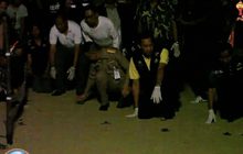 ปล่อยลูกเต่ามะเฟืองชุดแรกของปีกลับสู่ทะเล