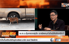 พ.ร.บ.คุ้มครองสุนัข เอาผิดคนทำร้ายได้จริงหรือ?