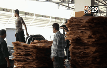 มติเบื้องต้นรับซื้อยางสูงสุดไม่เกิน 60 บ./กก.