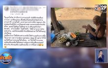 2 พี่น้องชายชรา อาศัย-หากินกลางป่า ได้รับความช่วยเหลือแล้ว