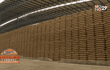 พาณิชย์ปลื้ม เอกชนแห่ประมูลข้าวเสื่อมคึกคัก