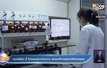 อนามัยโลก ชี้ โควิดแพร่จากค้างคาว และยากที่จะหลุดจากห้องทดลอง