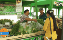 ยกเชียงราย เมืองต้นแบบอาหารปลอดภัย