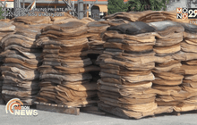 สหกรณ์ตรังหยุดรับซื้อยางพาราเพราะขาดสภาพคล่อง