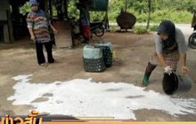 เกษตรกรเทน้ำยางประชดหลังขายไม่ได้ราคา