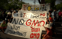 ปลุกชีพ GMO