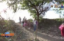 UNHCR เริ่มระดมทุนช่วยผู้อพยพในปีหน้า