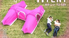 ชวนผู้ชายไปนอนจับมือ! เต้นท์ที่ถูกออกแบบมา เพื่อคู่ที่กำลังจีบกันโดยเฉพาะ