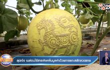 สุดเจ๋ง เมล่อนไร้สารพิษเพิ่มมูลค่าด้วยการแกะสลักลวดลาย