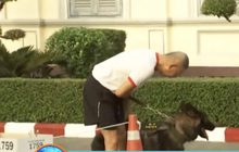 ผบ.ทบ.ยกสุนัขเปรียบเทียบกับคน รู้จักบุญคุณ