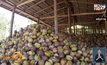 ​ชาวสวนเตรียมเคลื่อนไหว แก้ราคามะพร้าวตกต่ำ