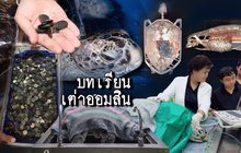 บทเรียนเต่าออมสิน