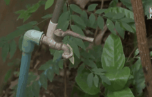 เผชิญวิกฤติน้ำประปาไม่ไหล