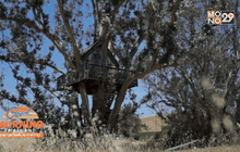 บ้านต้นไม้พร้อมรับมือ “ซูเปอร์โบว์ล”