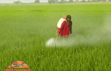 แนะรัฐเร่งแก้วิกฤตภัยแล้ง หวั่นเกิดแย่งน้ำในอนาคต