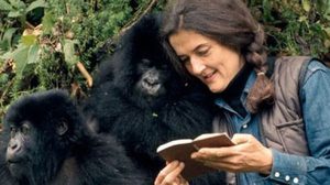Dian Fossey ผู้เปลี่ยนแปลงชะตาชีวิตกอริลล่าทั้งโลก!!!