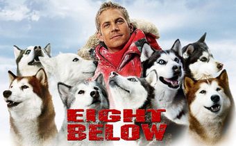 Eight Below ปฏิบัติการ 8 พันธุ์อึดสุดขั้วโลก