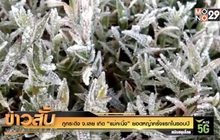 “แม่คะนิ้ง” ครั้งแรกของ ที่ ภูกระดึง จ.เลย