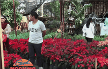 Good Morning Thailand 22-12-58