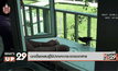 นกเอี้ยงแสนรู้ใช้ปากเคาะกระจกขออาหาร