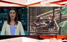 สั่งระงับบริการจังเกิลโคสเตอร์  จ. เชียงใหม่