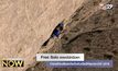 Free Solo สารคดีนักปีนผาทำรายได้เฉลี่ยต่อโรงในอินเดียดีที่สุดประจำปี 2018