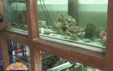 ตรวจจับร้านปะการัง จ.สุราษฎร์ธานี