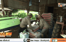 รัฐเล็งออกคูปองช่วยเกษตรกรแลกซื้อปัจจัยผลิต