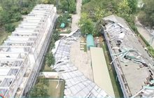 พายุฤดูร้อนพัดถล่ม-ลูกเห็บตกหลายพื้นที่ในภาคอีสาน