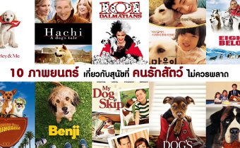 10 ภาพยนตร์เกี่ยวกับสุนัข ที่คนรักสัตว์ไม่ควรพลาด