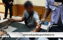 แจ้งความจับงูเหลือมฐานทำร้ายร่างกาย