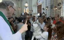 ชาวฟิลิปปินส์นำสัตว์เลี้ยงฉลองวันนักบุญฟรานซิส