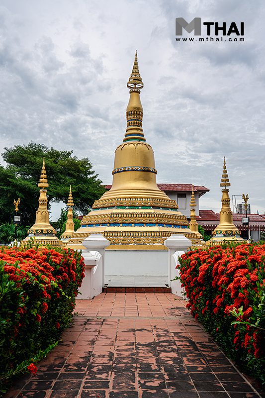 ต้นเข็ม