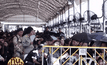 ประชาชนหลั่งไหลเข้าสักการะพระบรมศพไม่ขาดสาย