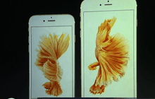 คาดยอดจองไอโฟนใหม่ สูงกว่า 10 ล้านเครื่อง