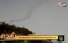 นทท.แห่ชมค้างคาว หมอล็อตนำทีมตรวจไม่พบโควิด-19