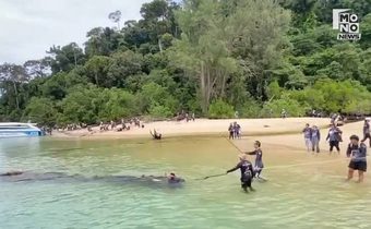 กองทัพจิตอาสา “ไทย–มาเลย์” 500 ชีวิต ลุยเก็บขยะทะเลสตูล