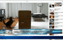 Catstacam กล้องสำหรับแมว แชร์ลงอินสตาแกรมได้ทันที