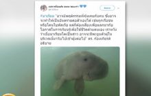 เทรนด์ฮิตออนไลน์ 18-06-62