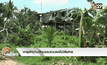 พายุพัดบ้านเรือนและสวนผลไม้เสียหาย