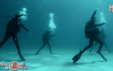 กรีซจัดการแสดงเต้นรำใต้น้ำครั้งแรกของโลก