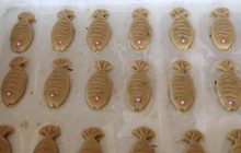 ชวนชิมเมนูเด็ด “คุกกี้ปลาย่าง” จ.พิษณุโลก