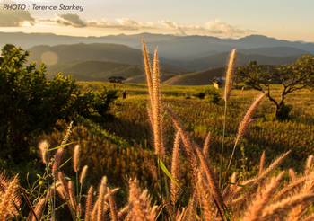 พยากรณ์อากาศ 21 ธ.ค.