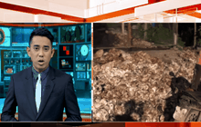 ตำรวจสั่งเตรียมรับมือชาวสวนยางชุมนุม